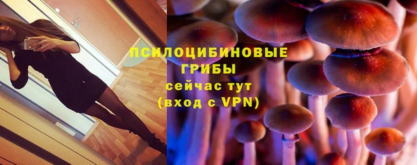 мяу мяу мука Сатка