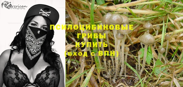 прущая мука Абаза