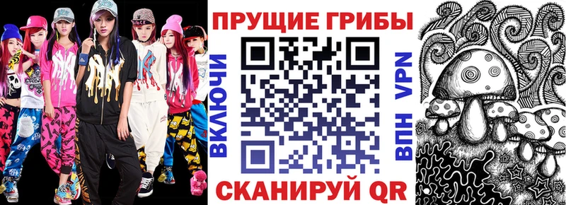 наркота  Каменка  Галлюциногенные грибы мицелий 