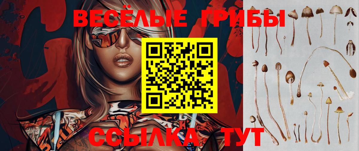 Псилоцибиновые грибы мухоморы Каменка