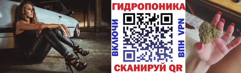 наркотики  Каменка  Канабис марихуана 